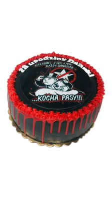 Tort dla kibica Cracovi